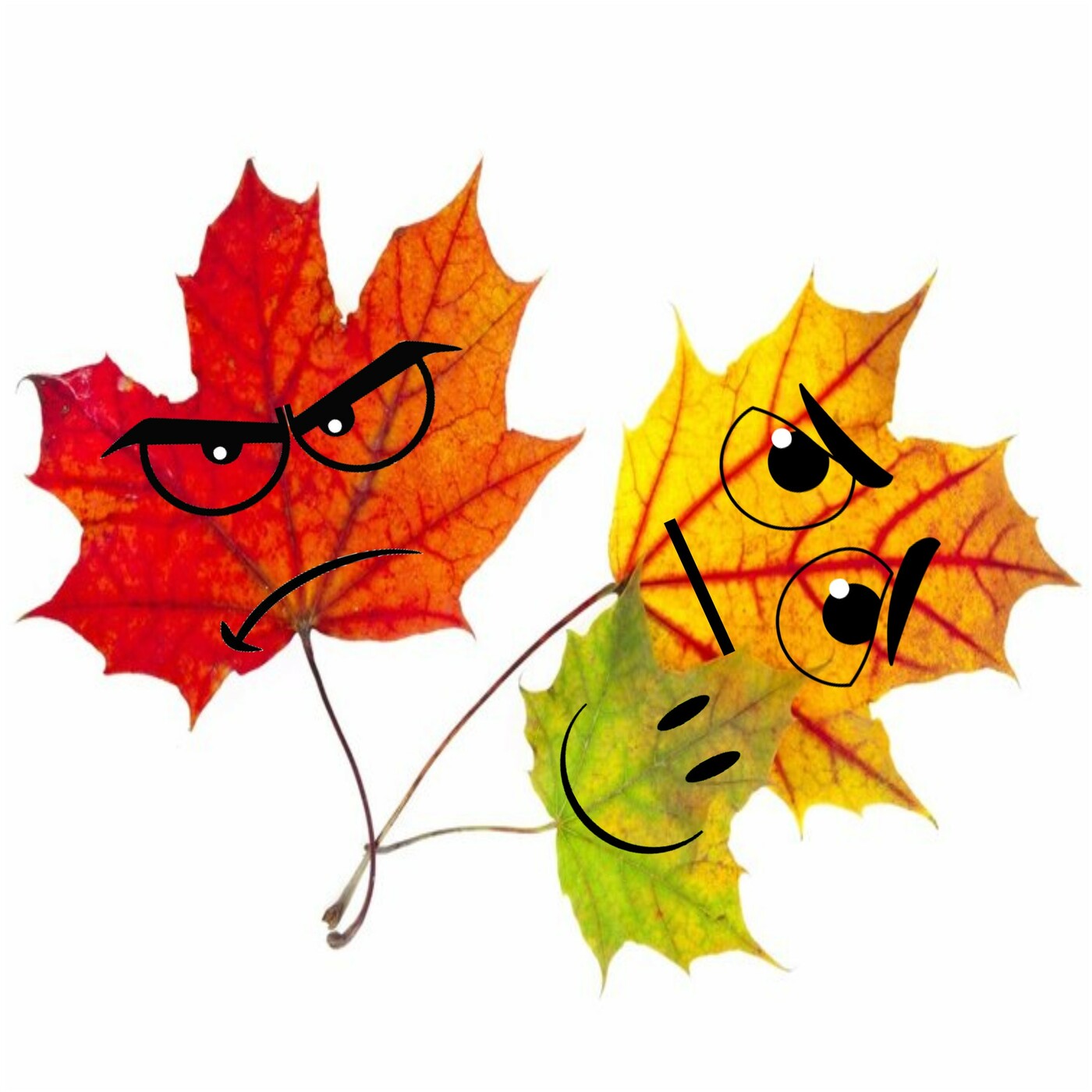 Happy Fall HL186 episode artwork