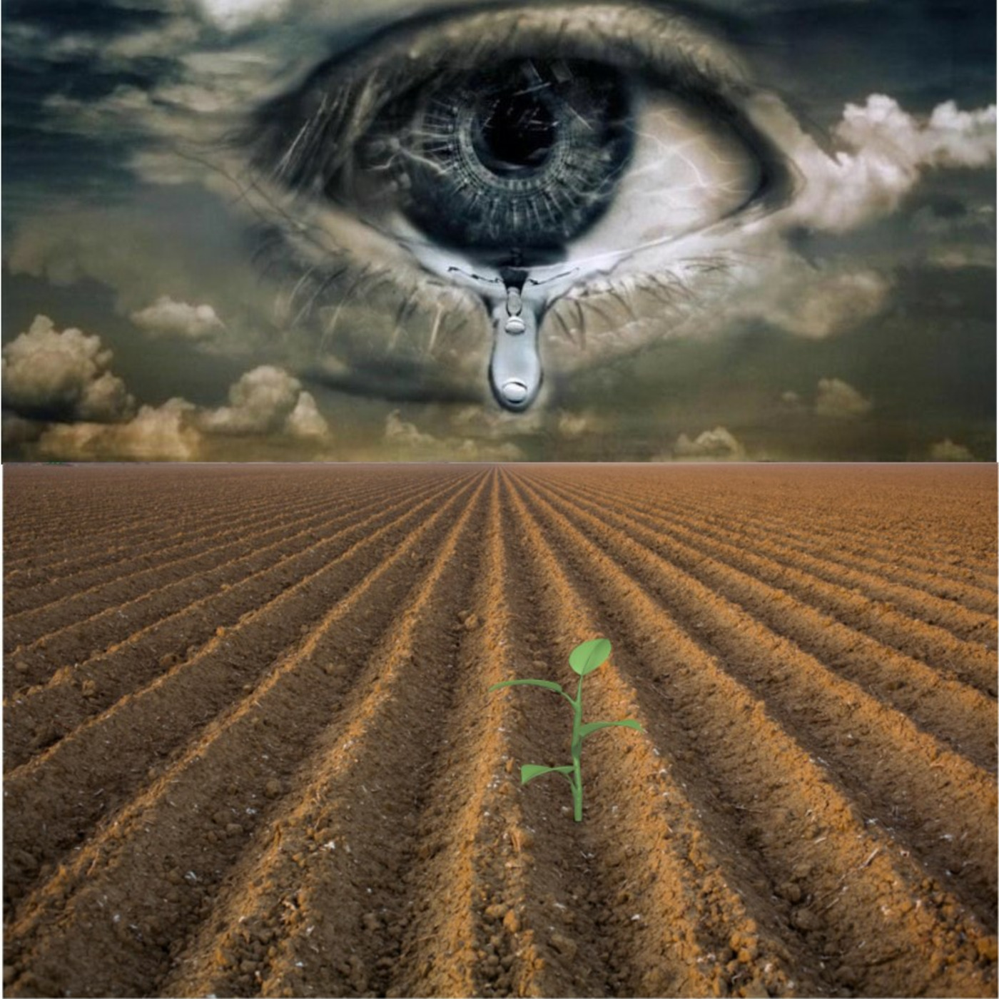 So Sow Sad HL79 episode artwork