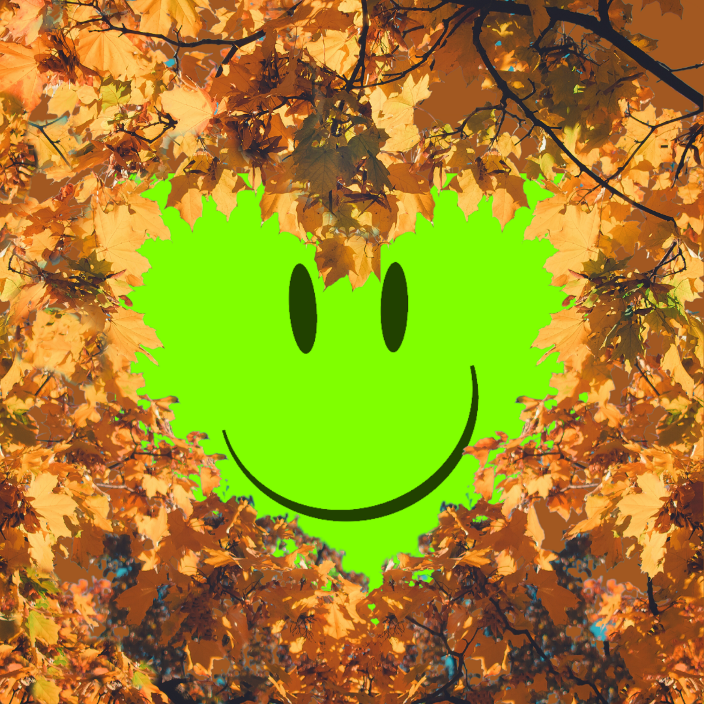 Episode 381: Fall Feels Good HL381 episode artwork