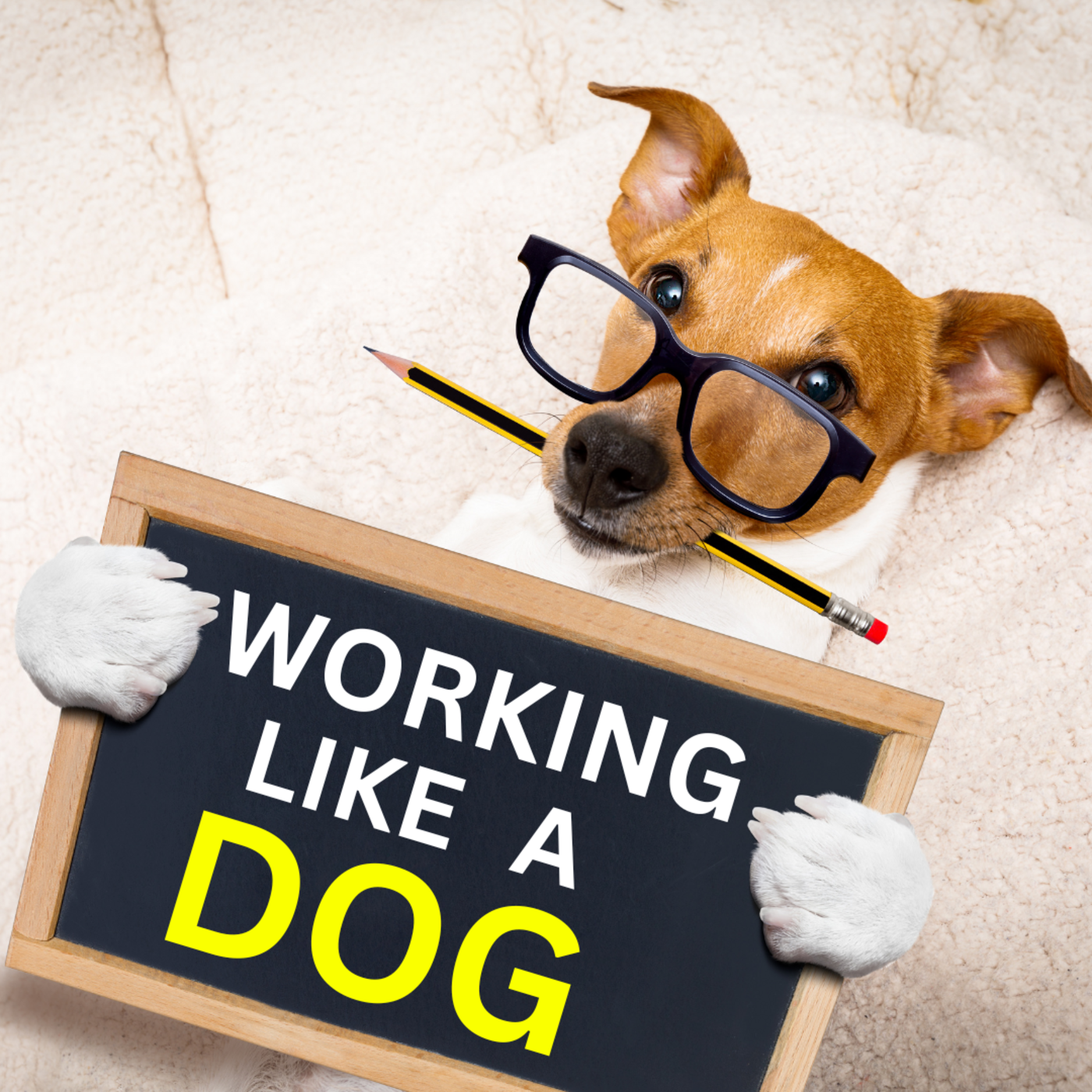 Episode 429: Working Like A Dog: A Labor Day Special HL429 episode artwork
