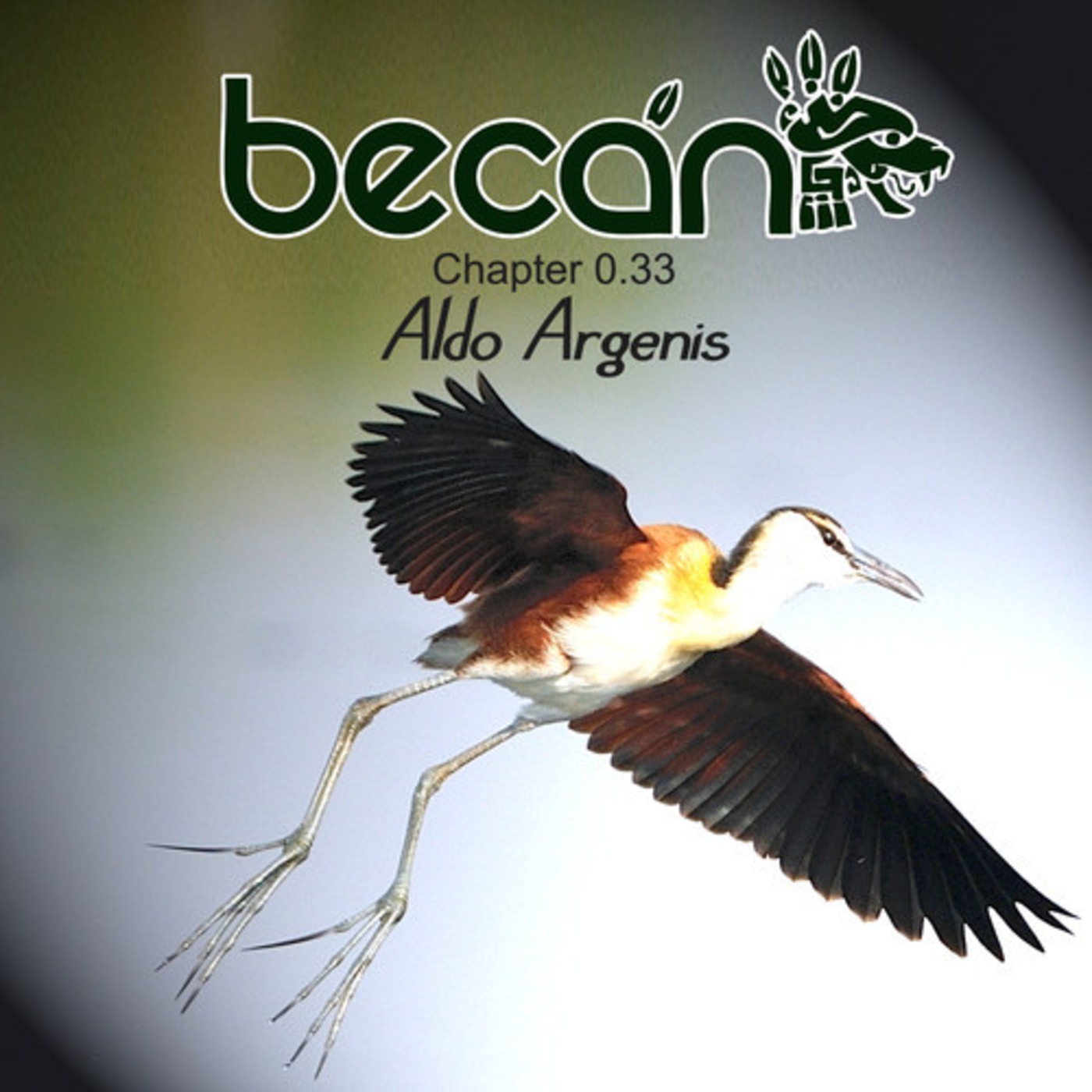 Chapter 0.33 - Aldo Argenis