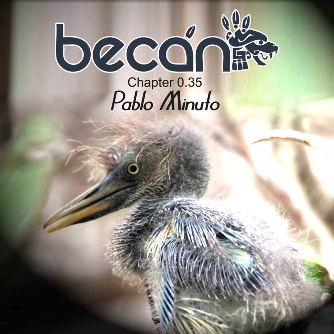 Chapter 0.35 - Pablo Minuto