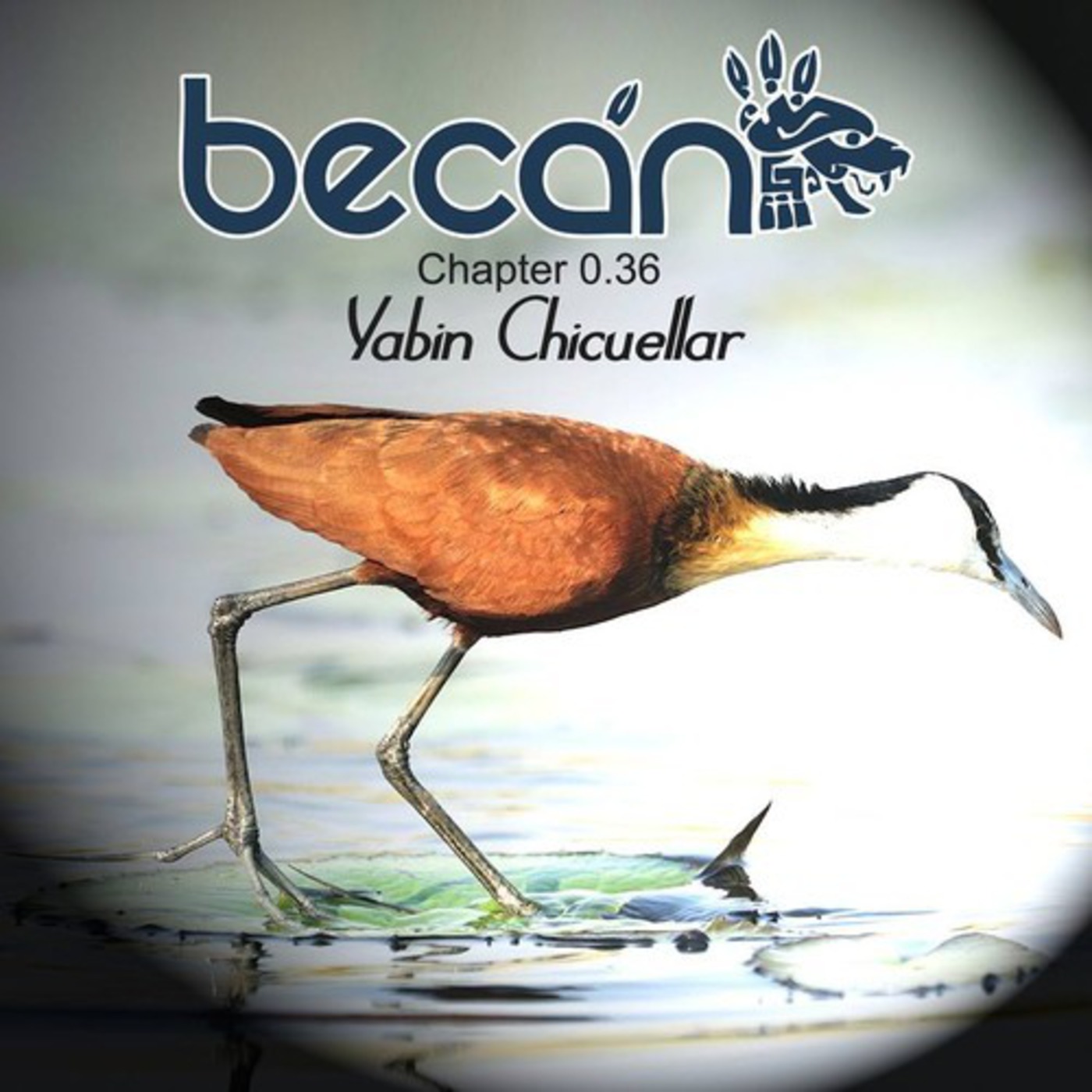 Chapter 0.36 - Yabín Chicuellar