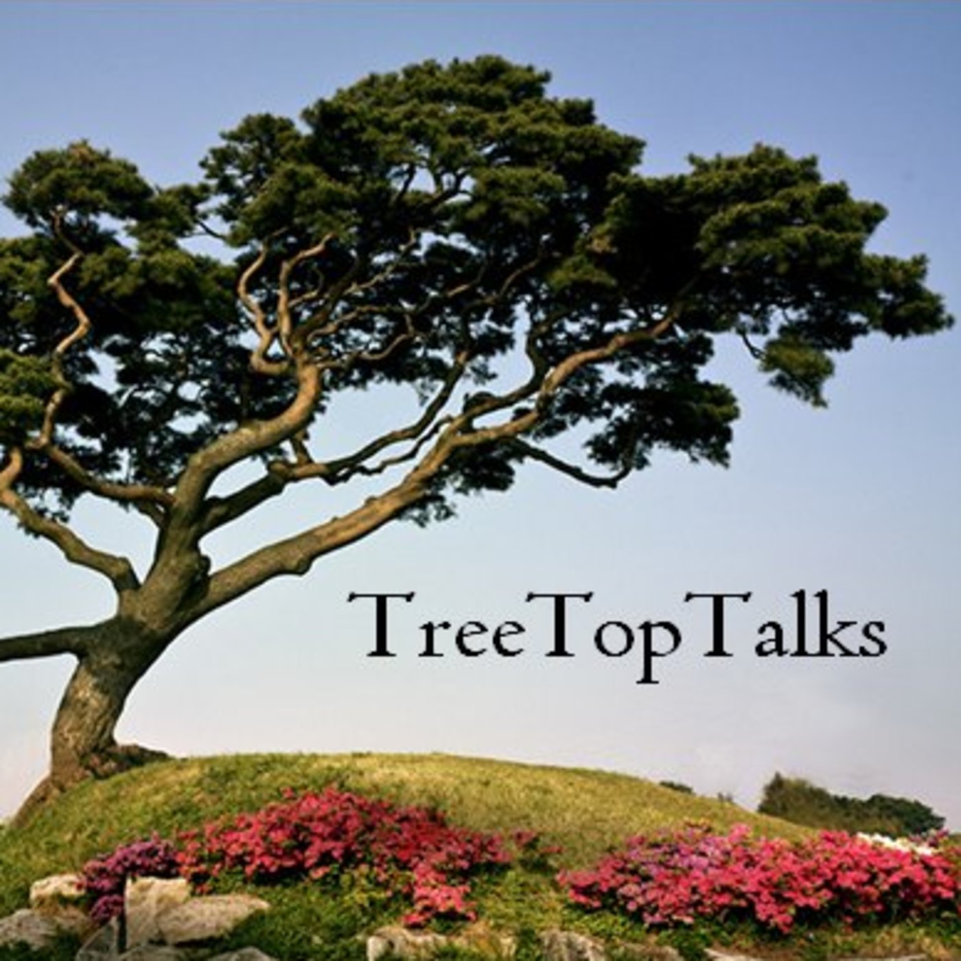 TreeTop Talks