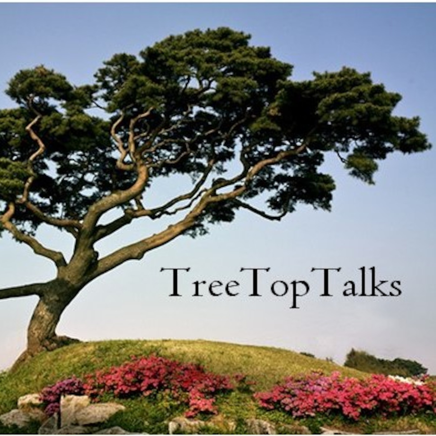 Old Trees