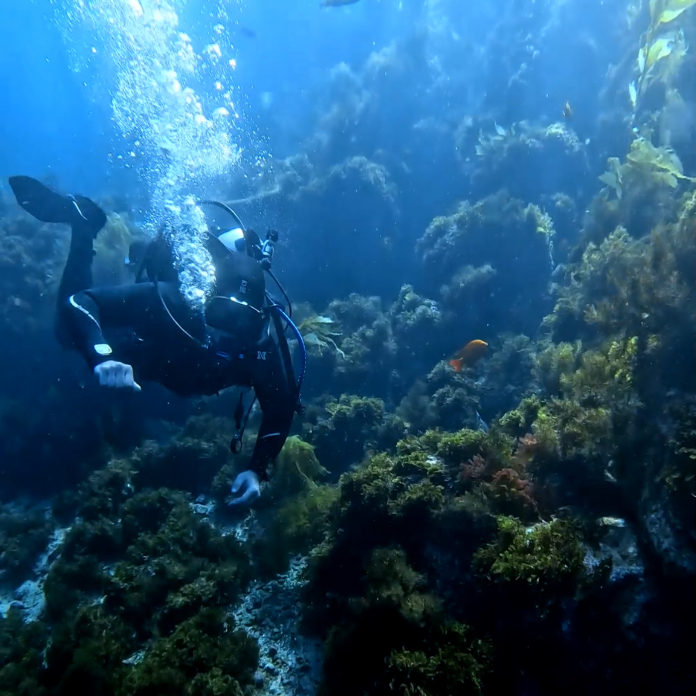 Episode 1499: What's Bruin Show - Mike and Jake Are Back For 2026!