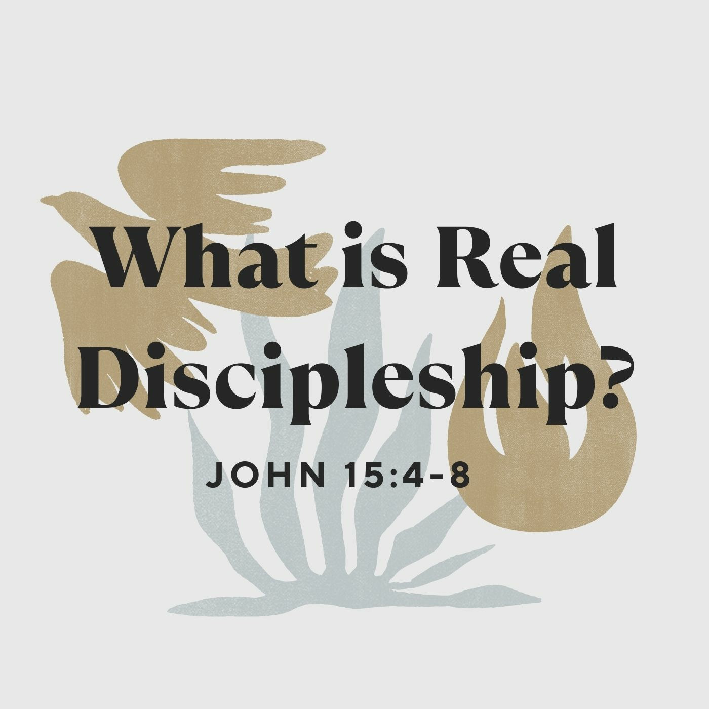 Springhill Baptist Church Sermons