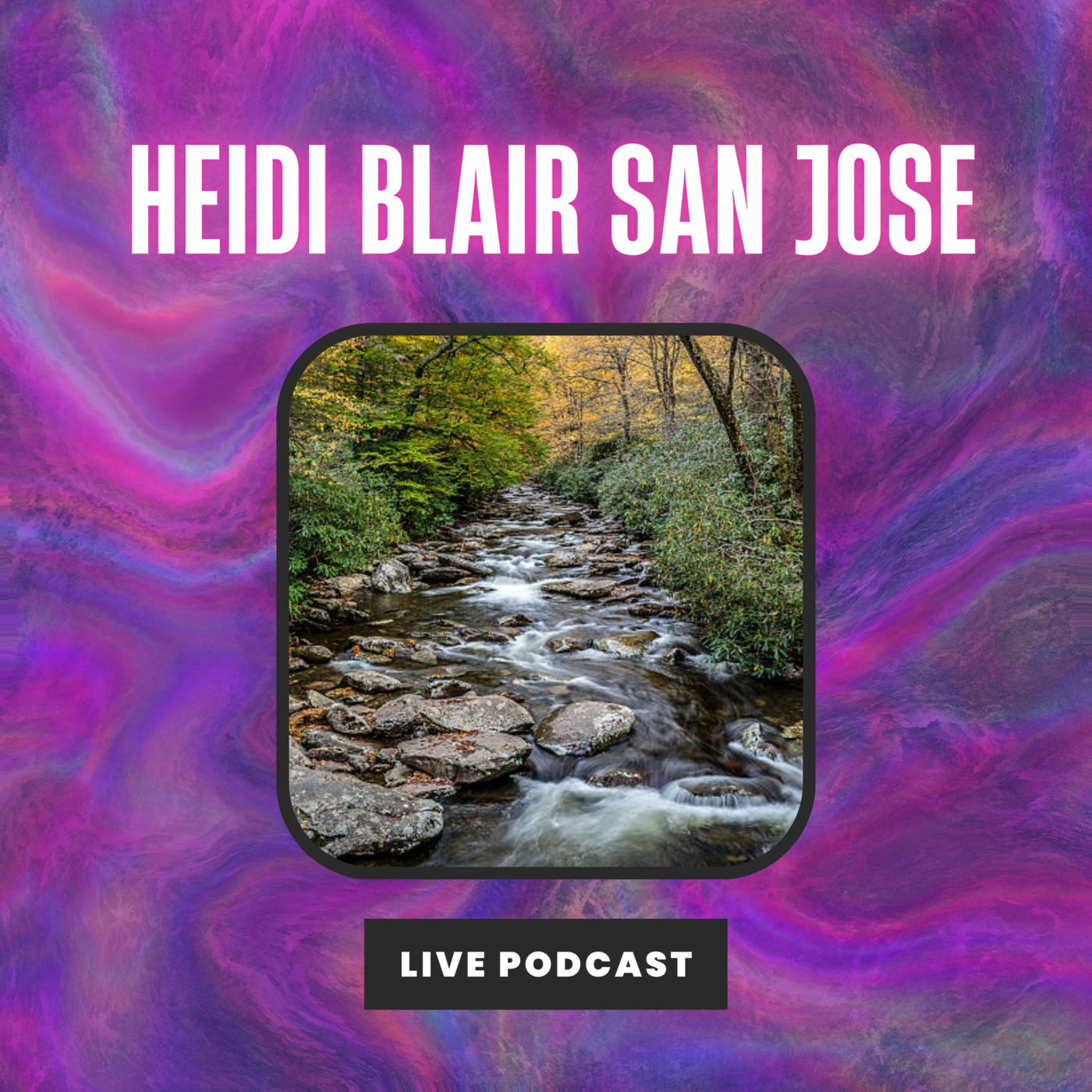 Heidi Blair San Jose