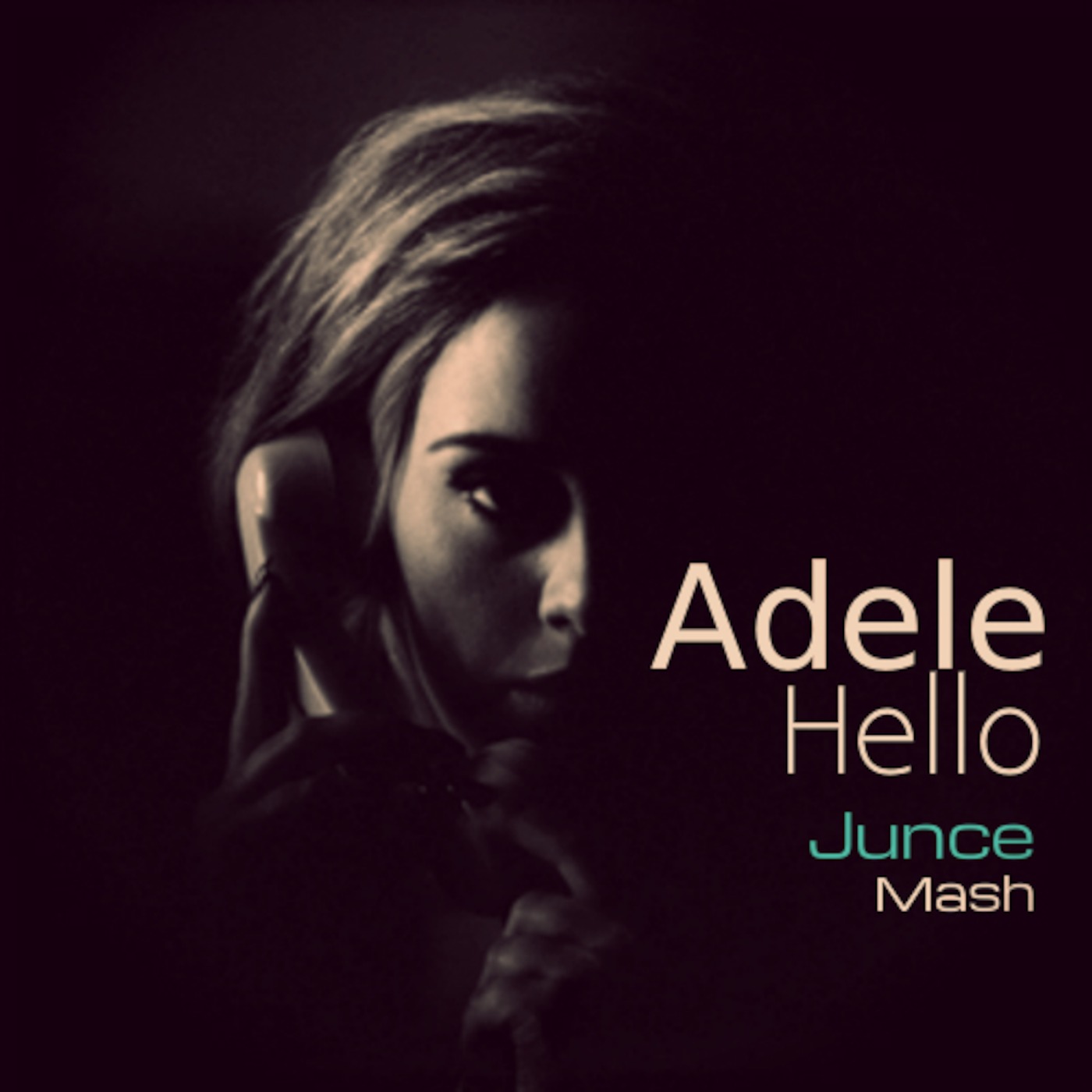 Adele - Hello (JUNCE Mash)