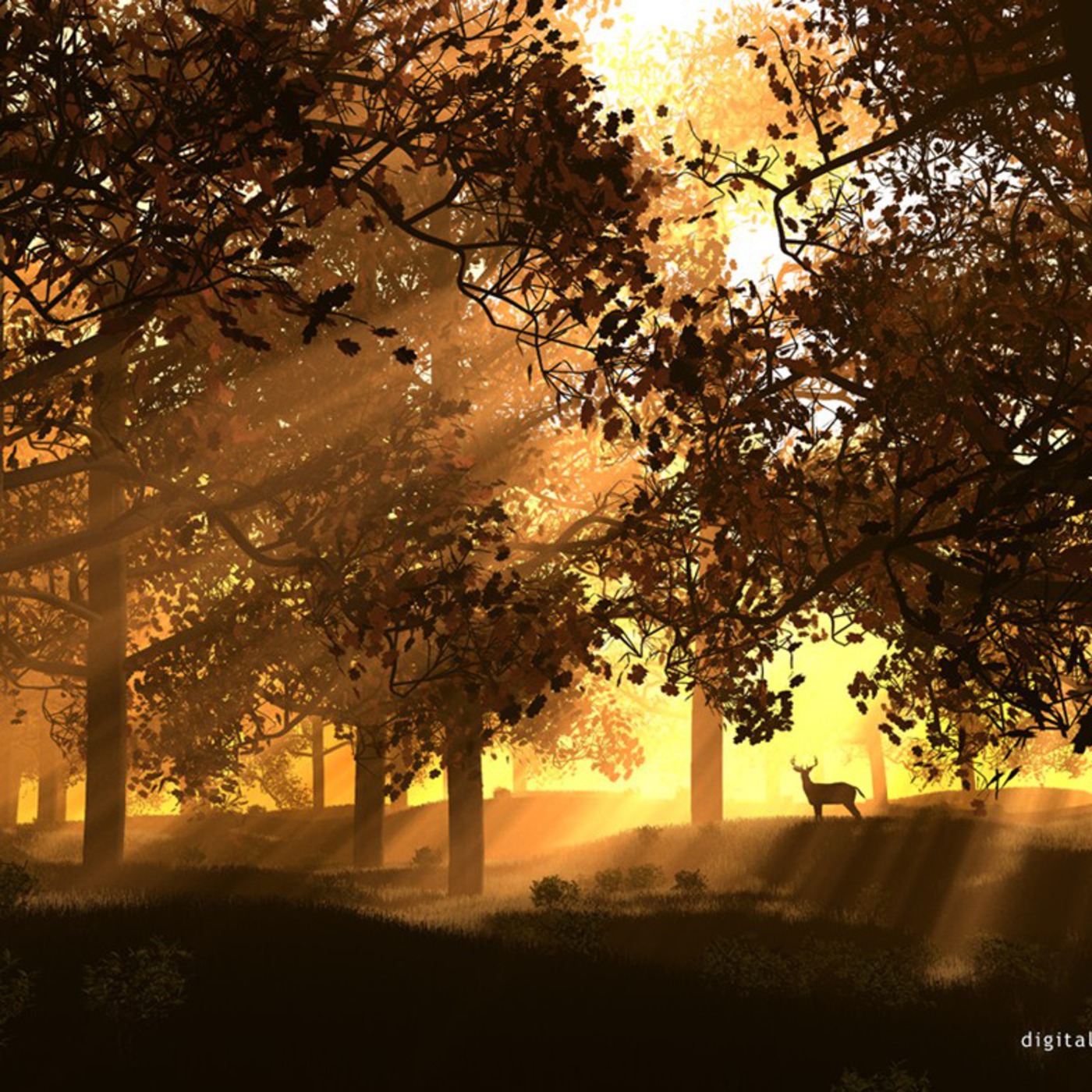 Shango Isla Drive (Mi Barrio#18) episode artwork