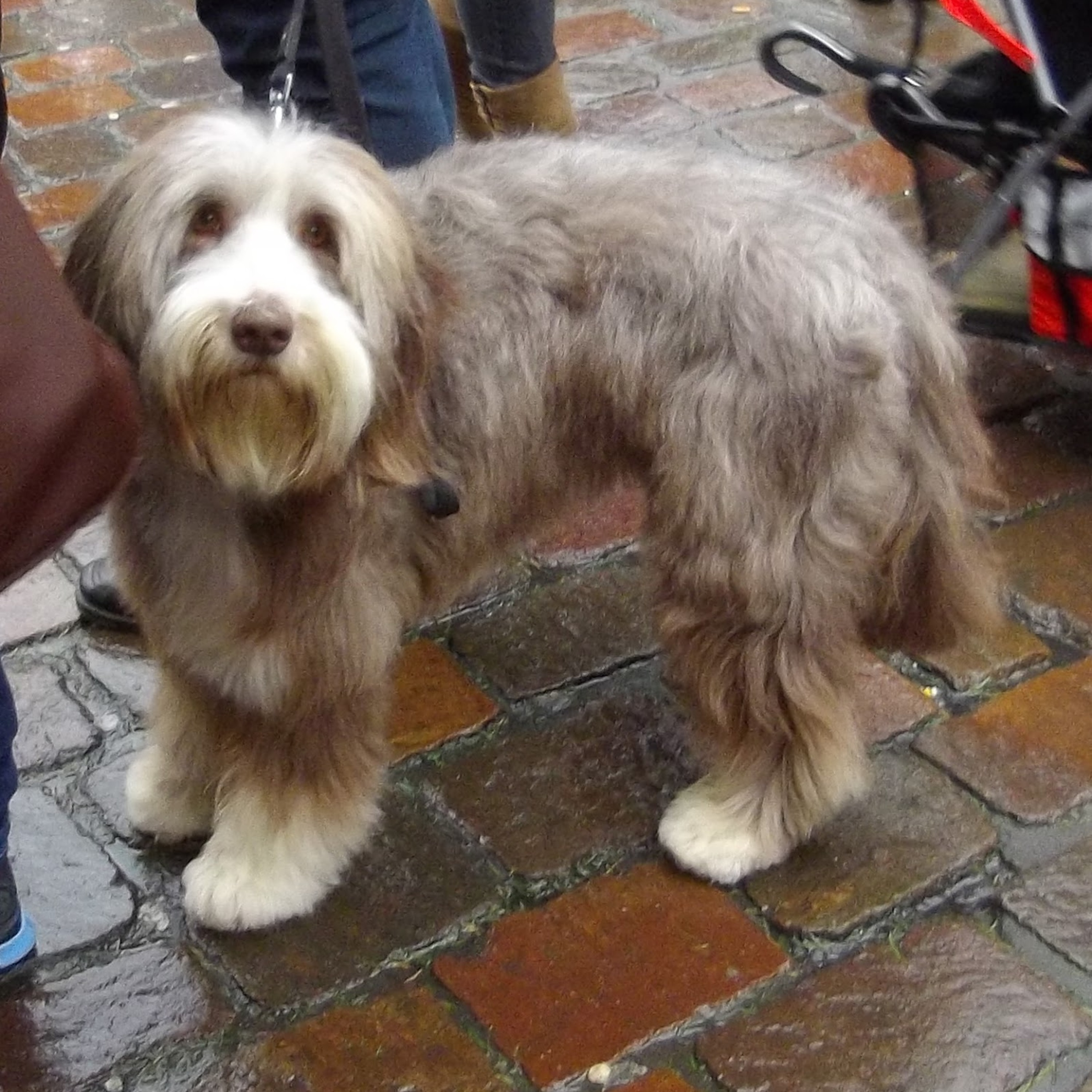 TimandJohn\'s Podcast