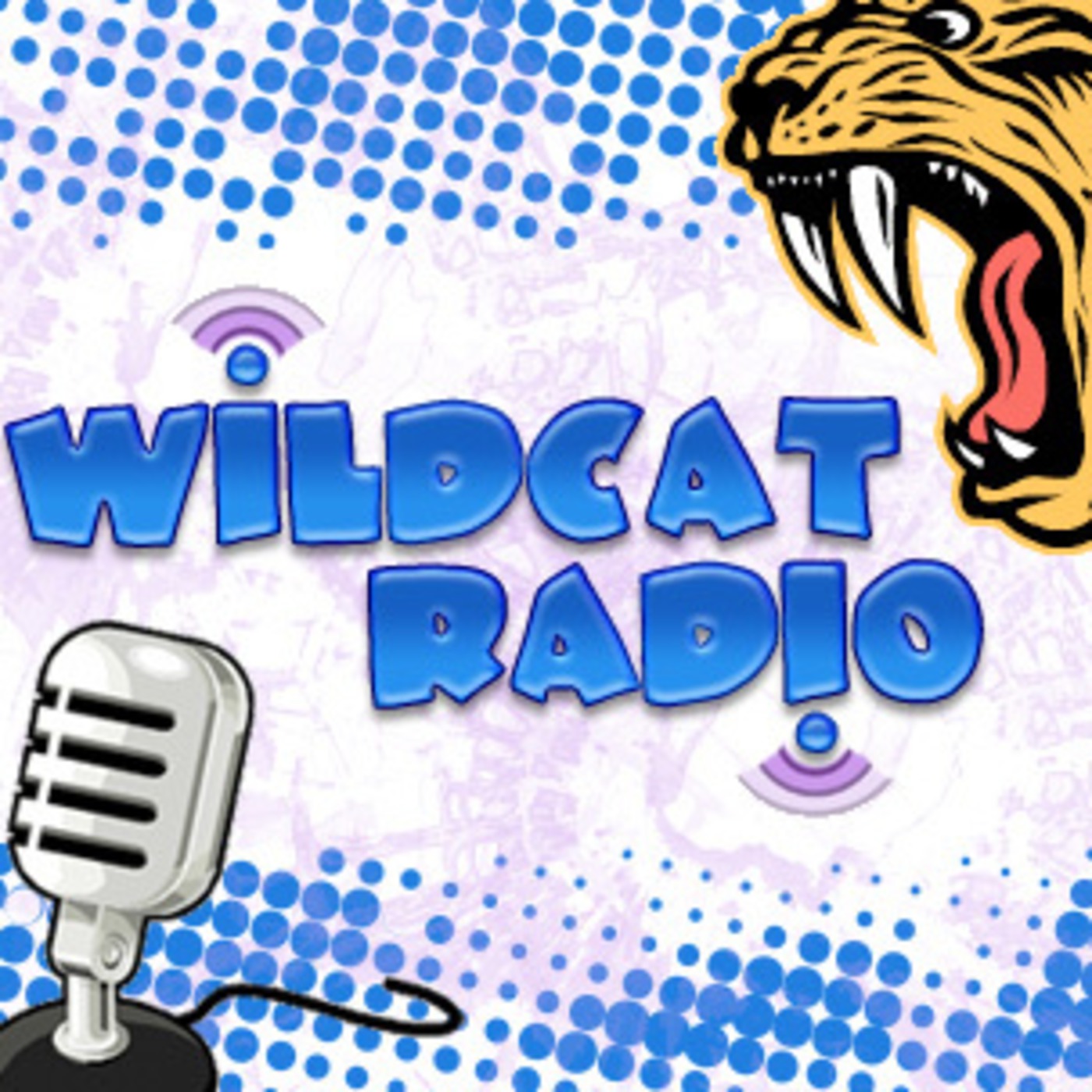 Wildcat Podcast Radio - Citizenship