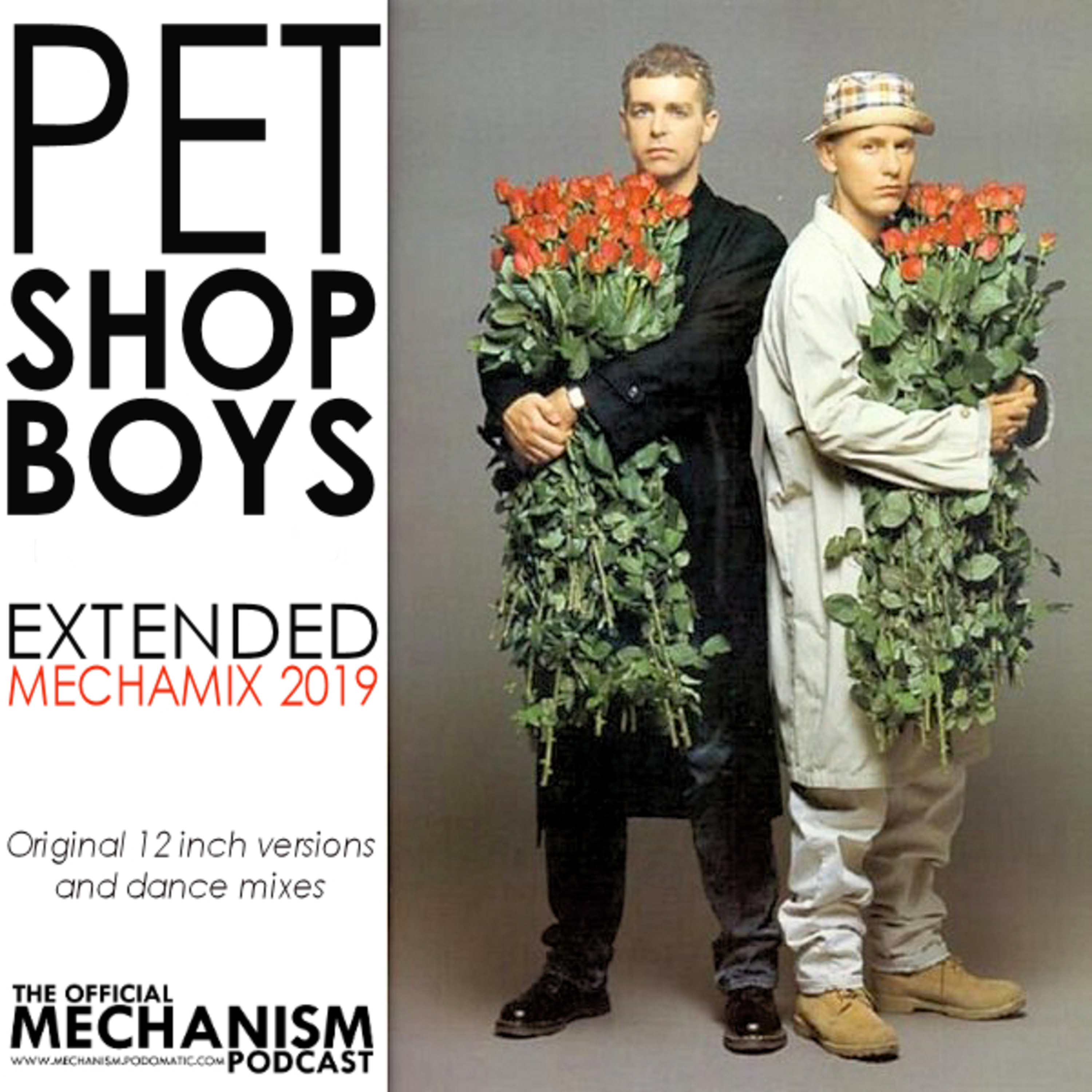 Pet shop boys. Pet shop boys it's Alright. Pet shop boys - my October Symphony. Pet shop boys Roses.