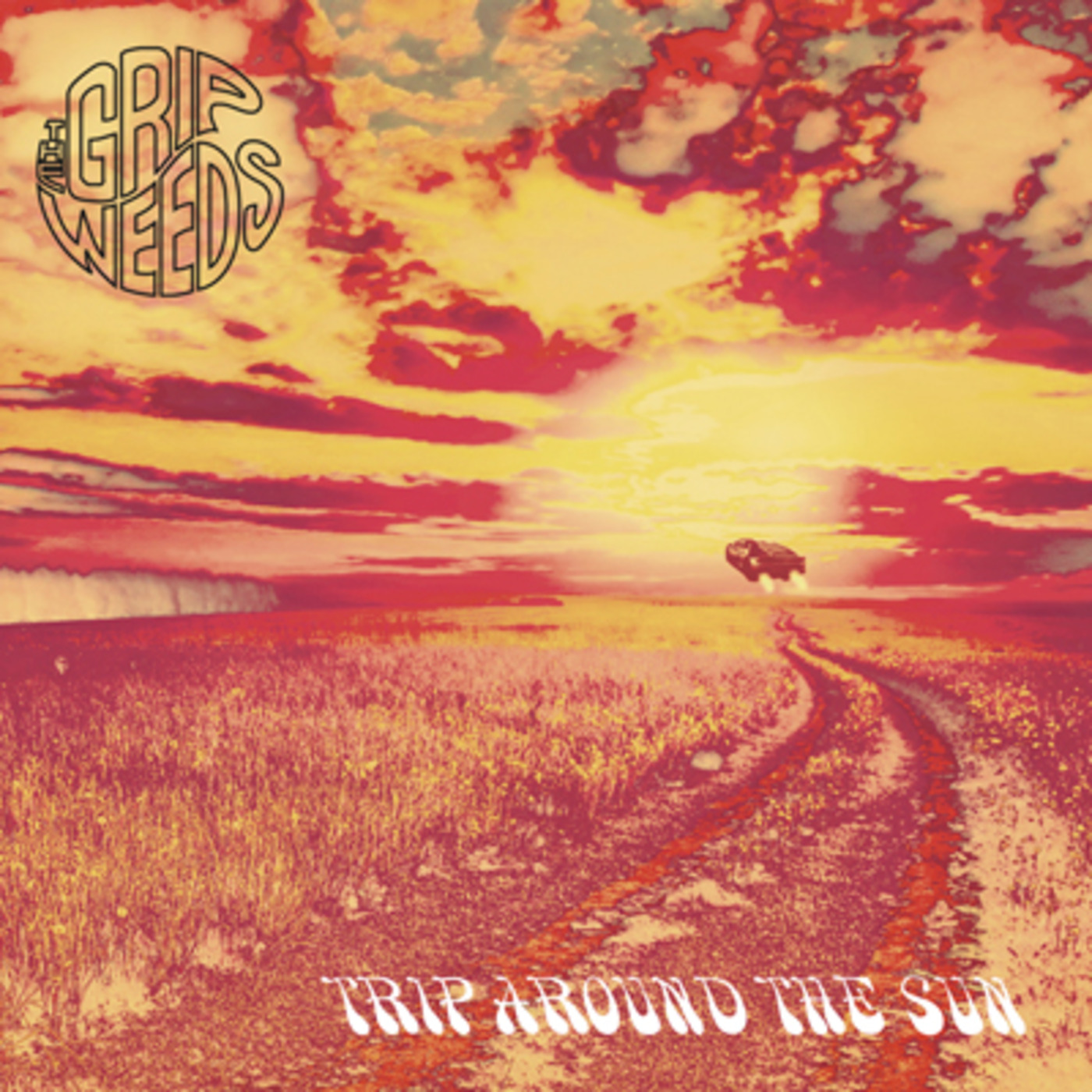 A 'Trip Around The Sun' with The Grip Weeds