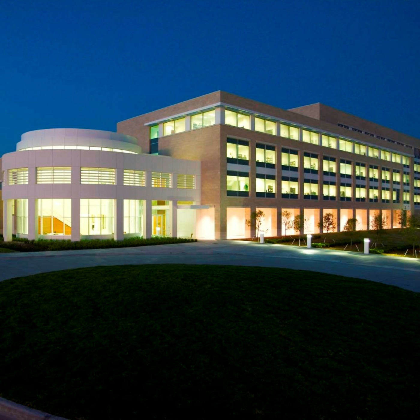 MS Marketing at UT-Dallas
