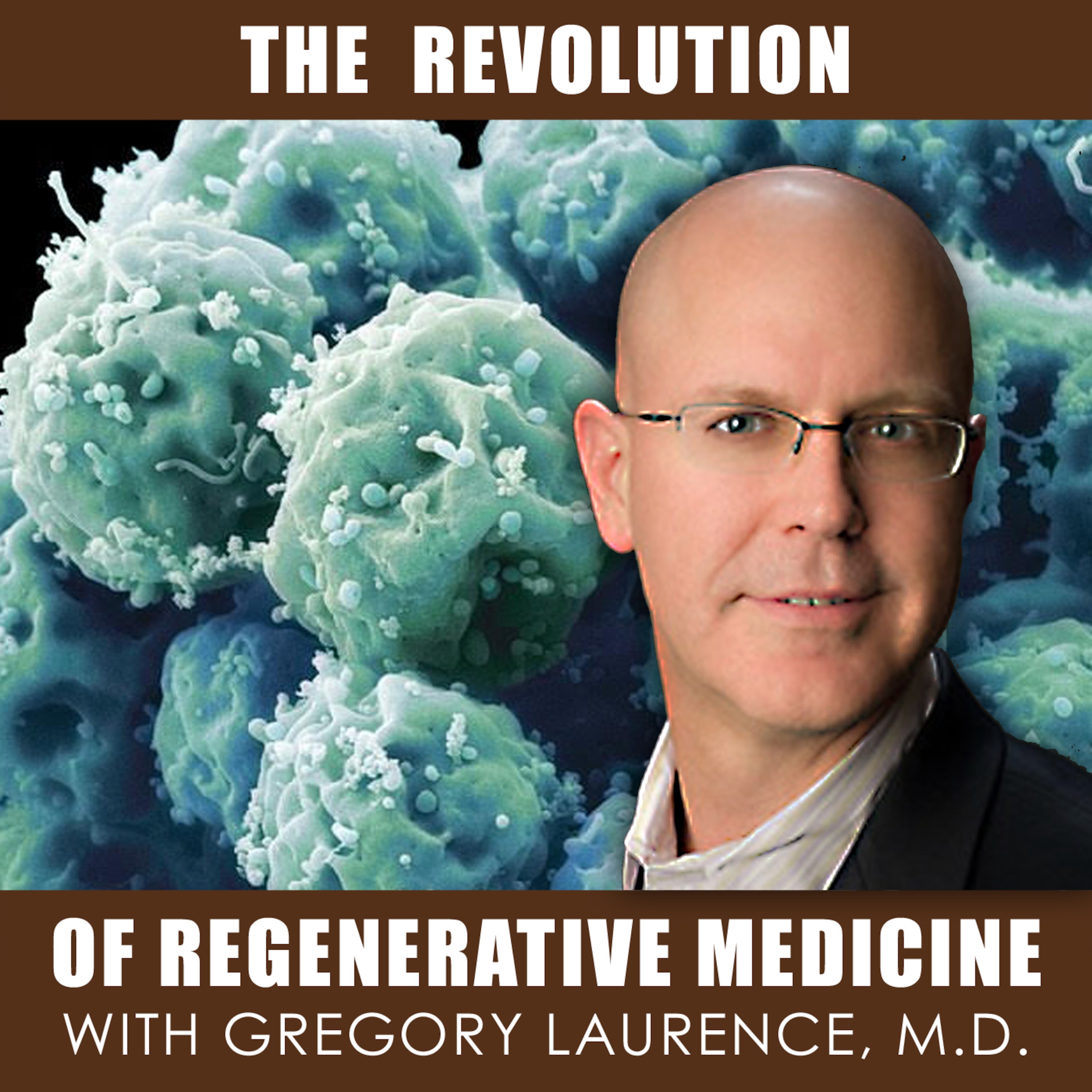 Episode 2 (2 of 9): Death by a fly swatter, Dr. Laurence discusses death and disease. Where does cell surgery approach to stem cell therapy  fit in? episode artwork