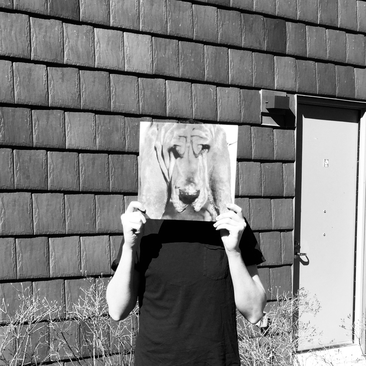161: The Face of a Dog with Kevin Crowley