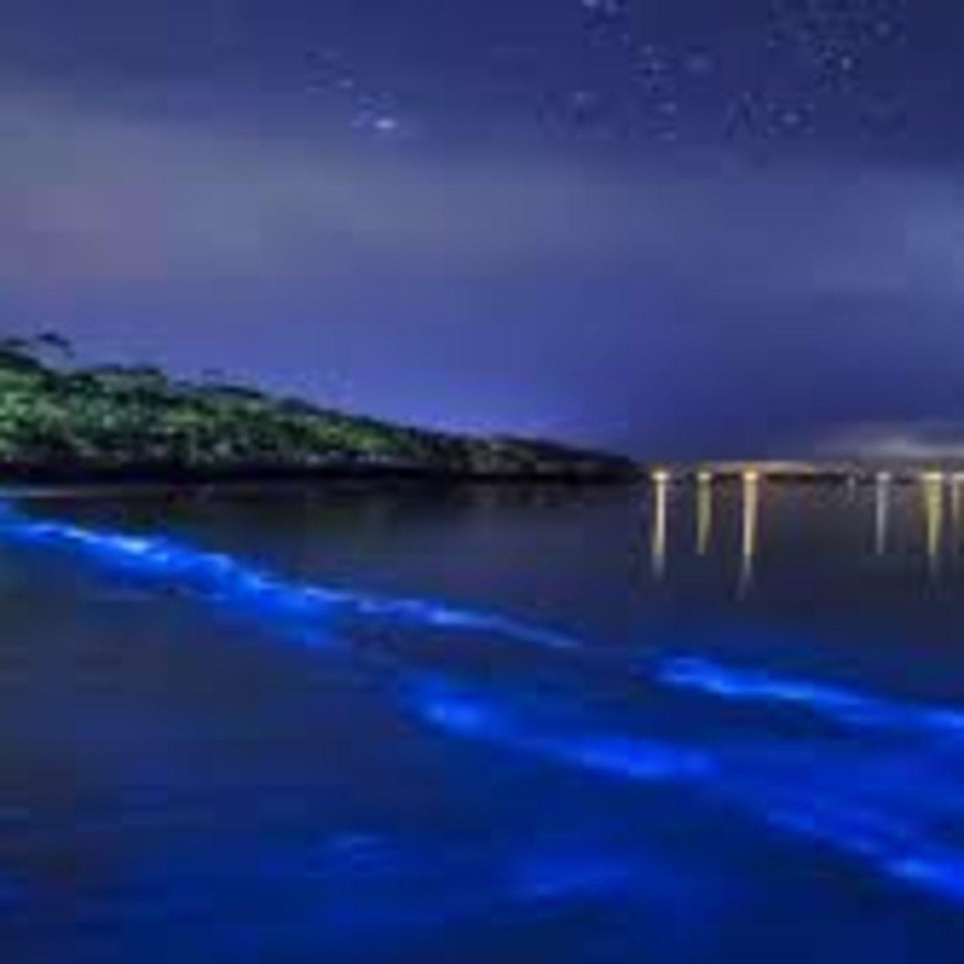 Episode 282: Afro House,Latin House, Afrolatin House (Oh Nevermind) Vol.282