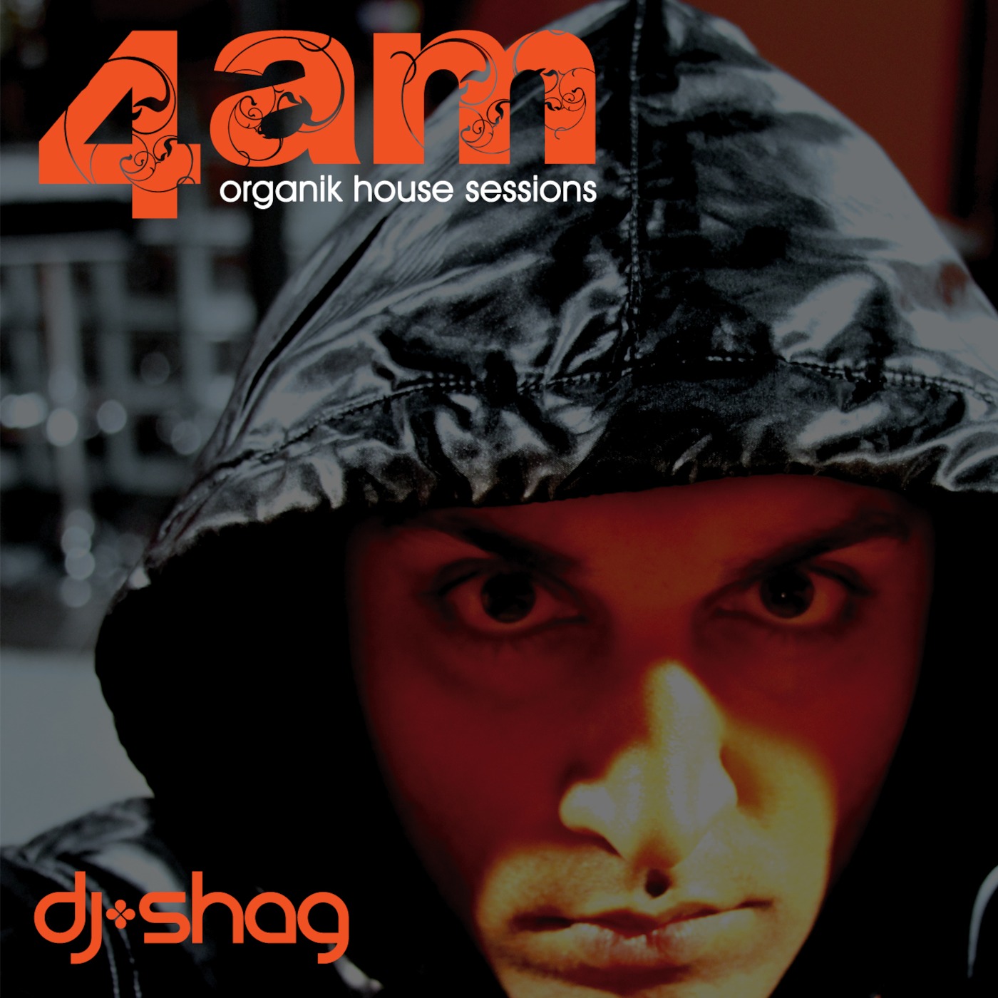 dj Shag- 4am : Organik House Sessions