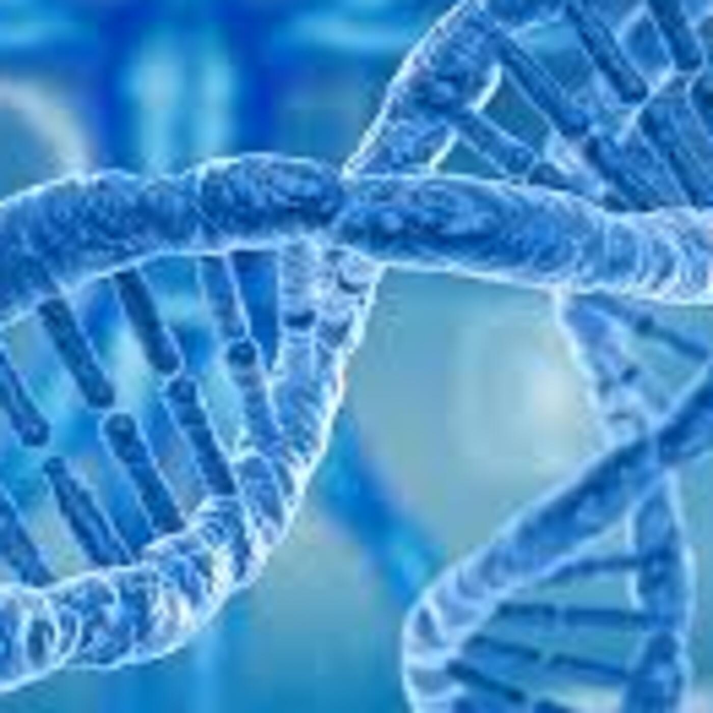 Genetics and Fitness