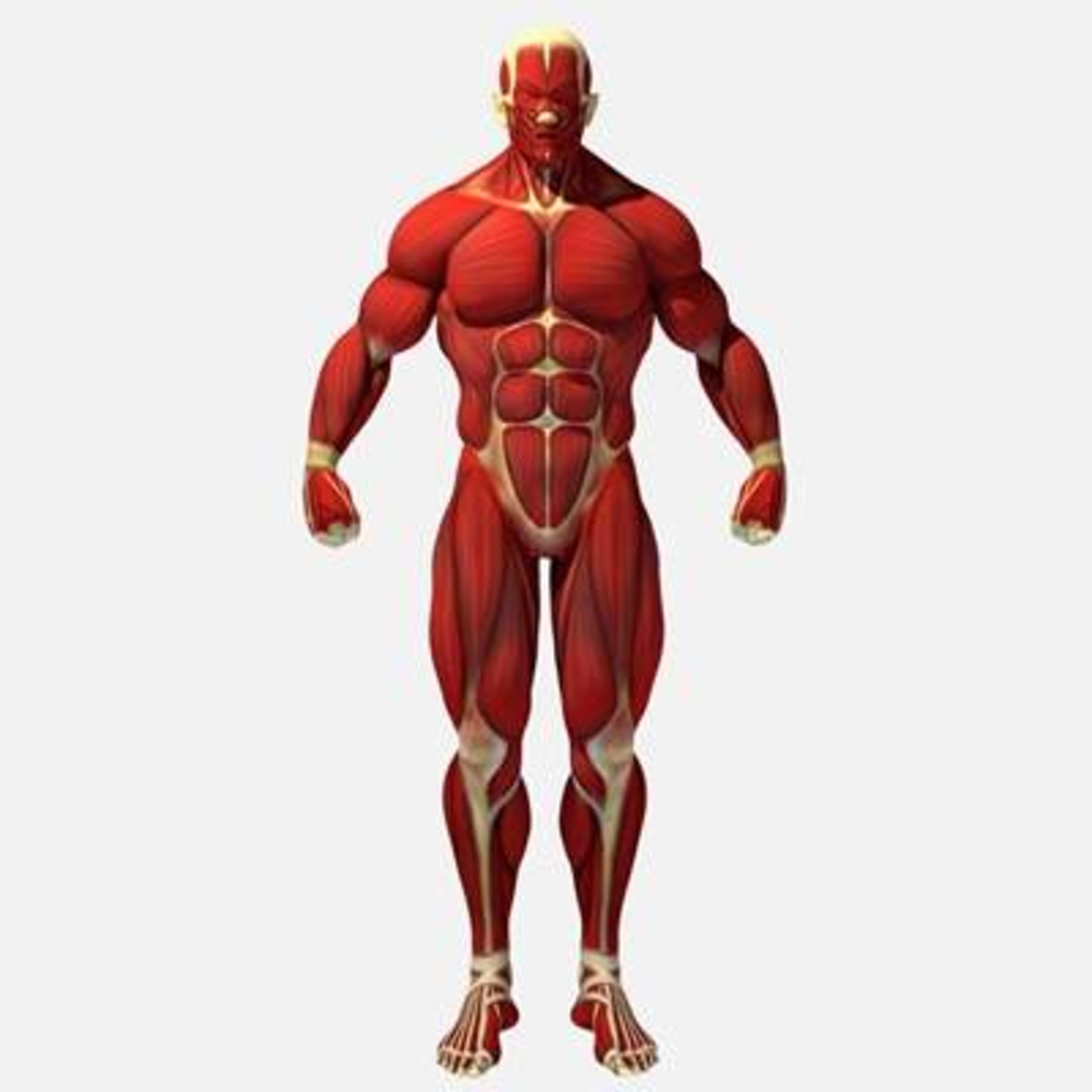 Flatline Fitness Podcast