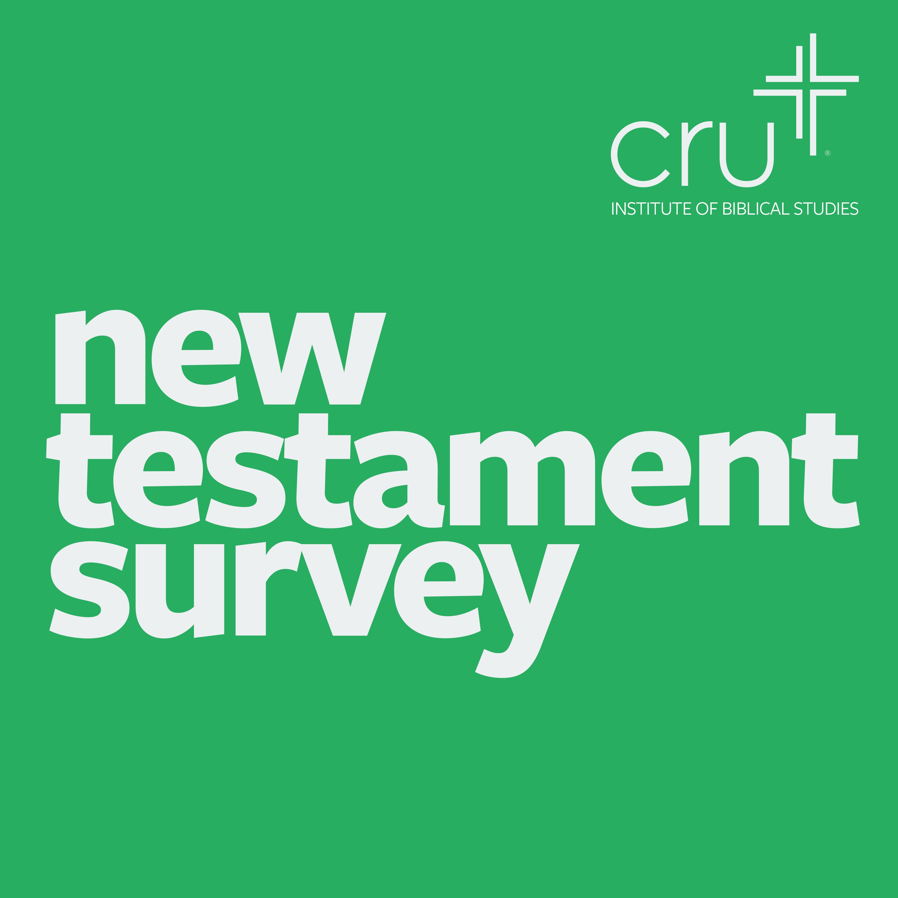 New Testament Survey podcast artwork