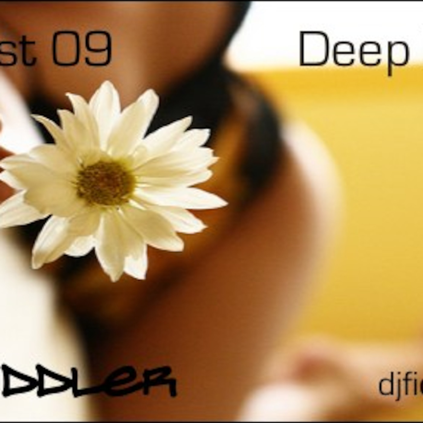 DJ Fiddler Podcast 09 episode artwork
