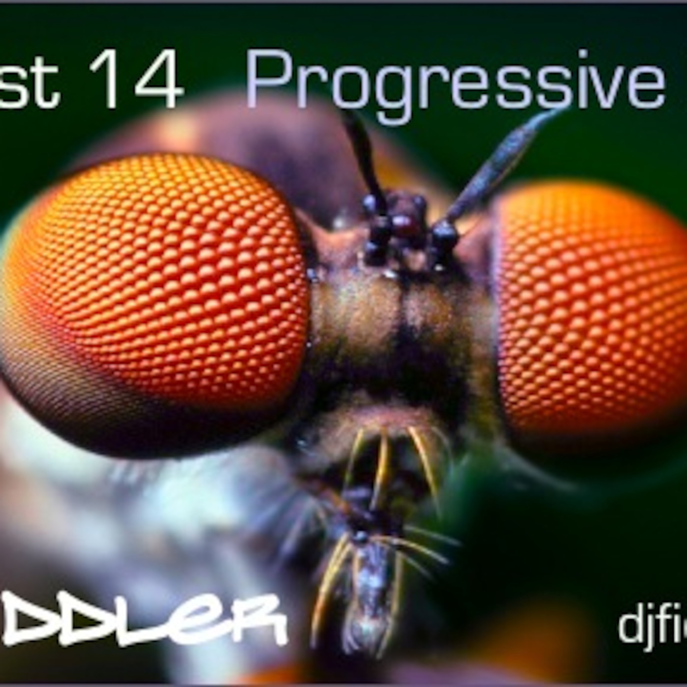 DJ Fiddler Podcast 14 episode artwork