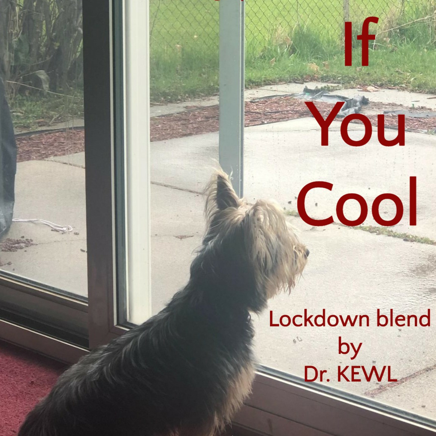 The KEWL Lounge\'s podcast